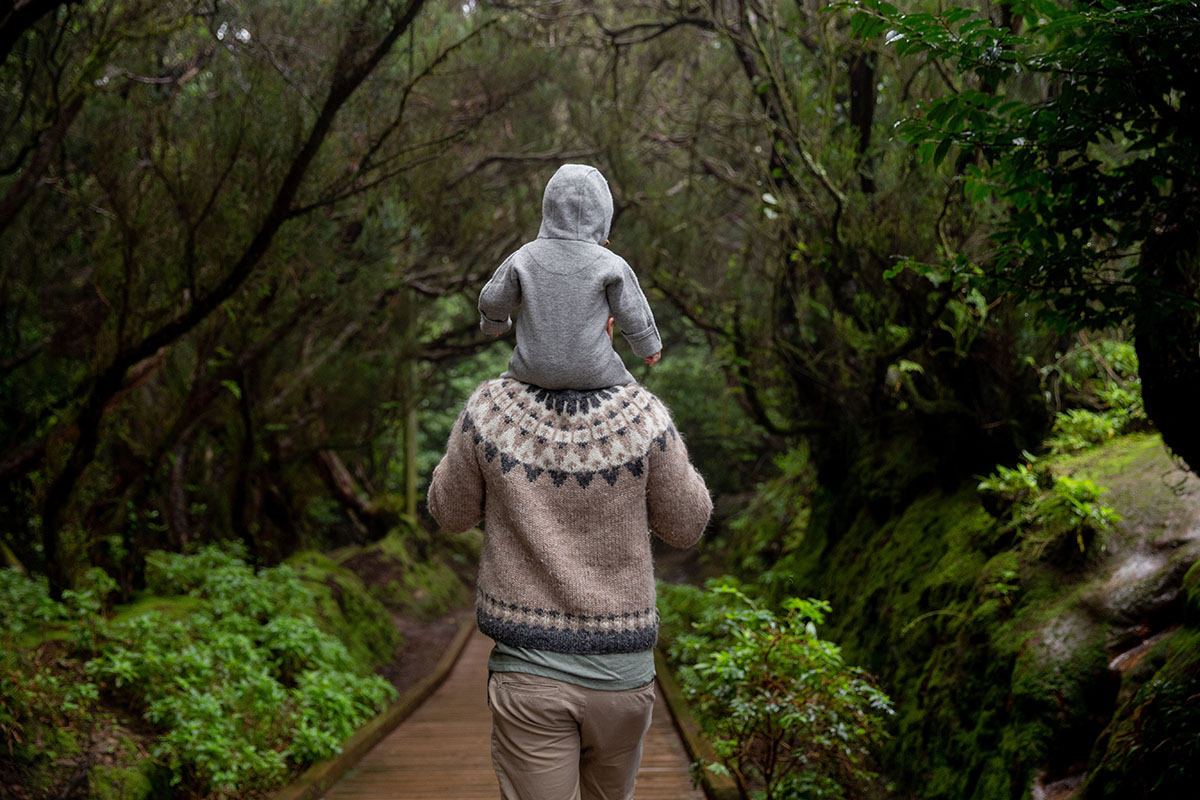 Adventure walk through the woods