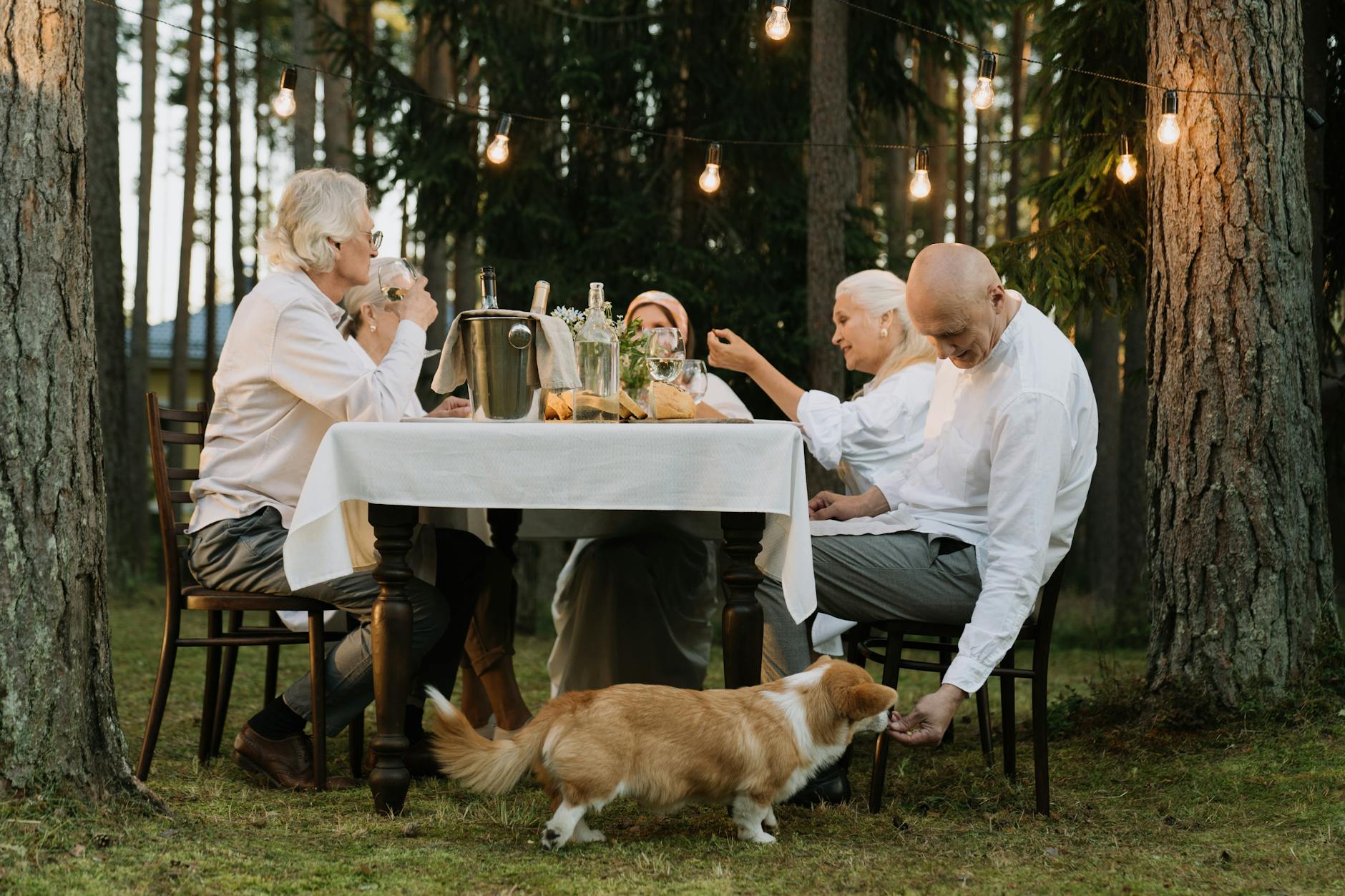 pexels-photo-5962170 man in white dress shirt sitting on chair feeding a dog
