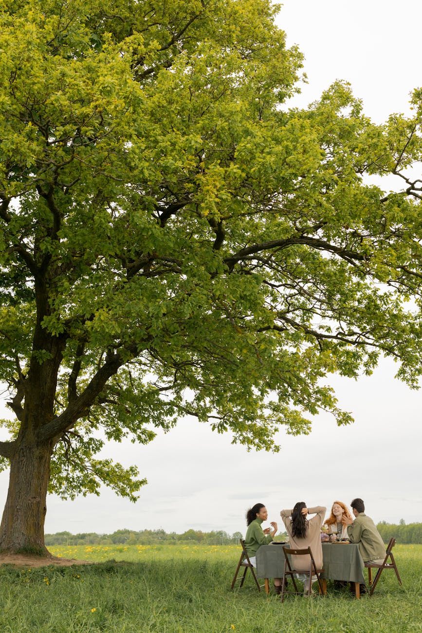 pexels-photo-9578721 a group of friends having conversation under the green tree