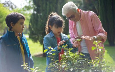 EP – 190 Growing Memories and Relationships