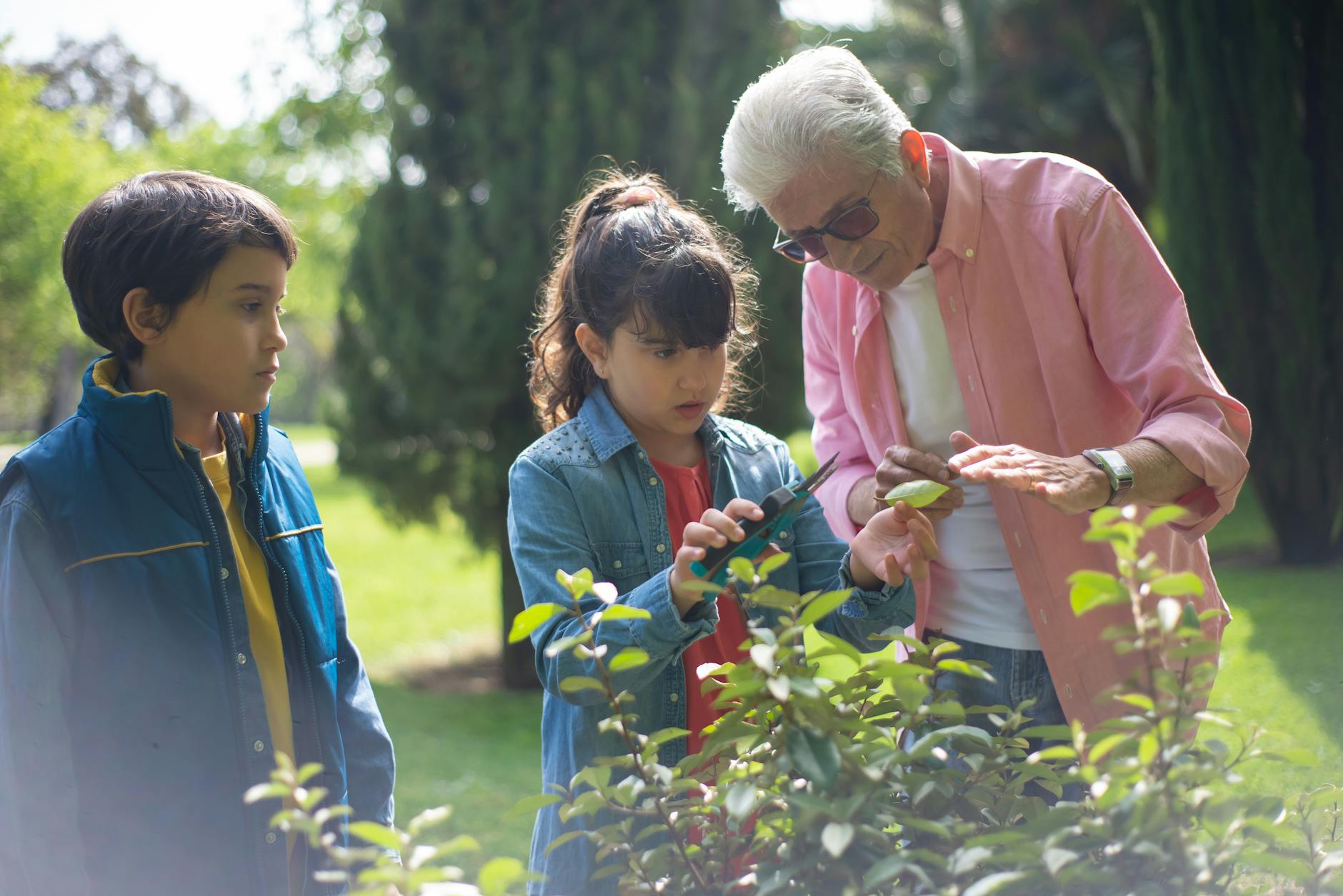 pexels-photo-7854137 grandfather teaching the kids how to cut the plant leaves